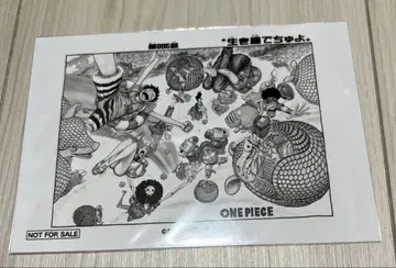 원피스 문 그림 브로마이드 제 886화