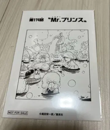 원피스 문 그림 브로마이드 조로