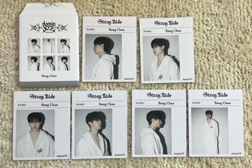 straykids 방찬 인스턴트 사진 세트