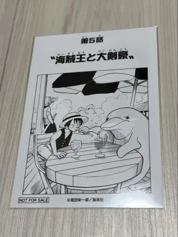 원피스 문 그림 브로마이드 제5화