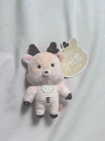 riize 성찬 봉제 인형 키링