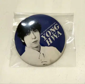 2025 FNC BAND KINGDOM CNBLUE 캔뱃지 용화