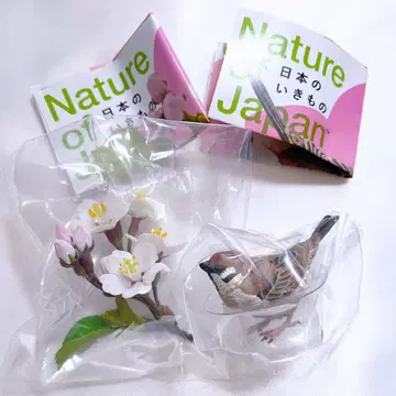 Nature of Japan 일본의 생물 3 참새 소메이요시노 2개