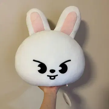 straykids Lee 비트 리노 쿠션