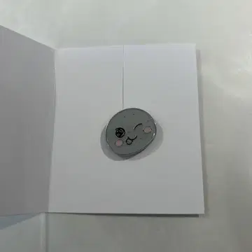 RIIZE 아레나 투어 굿즈 랜덤 커스텀 참 은석