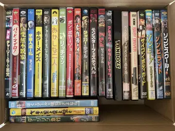 B급 영화 DVD 묶음 판매