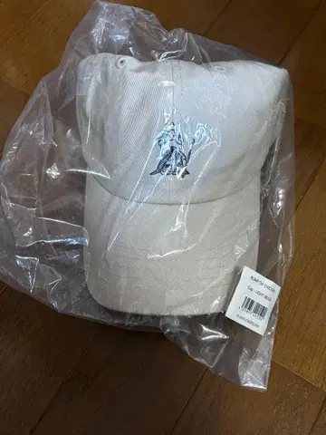 BUMP OF CHICKEN TOUR 홈 시크 위생 2024 한정판 캡