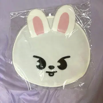 StrayKids Lee 비트 리노 부채 커버