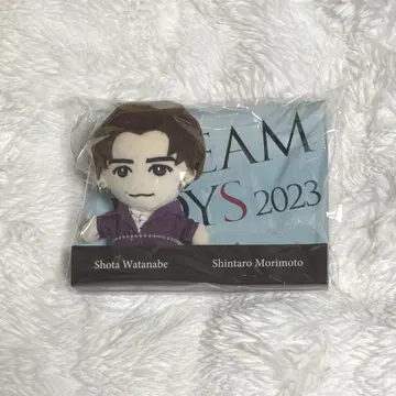 와타나베 쇼타 도리보 DREAMBOYS 봉제 인형