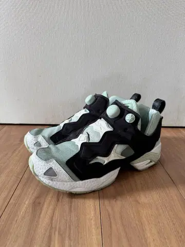 INSTAPUMP FURY 95(라이트 세이지)