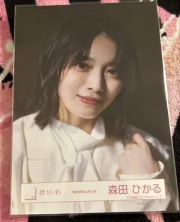 사쿠라자카46 모리타 히카루 브로마이드 마찰 계수 요리