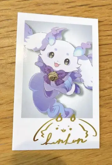 데뷔 폴라로이드 런런 레어
