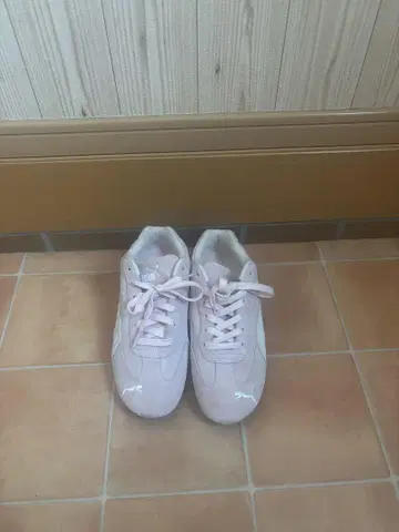 Puma 핑크 스피도 캣 23.5