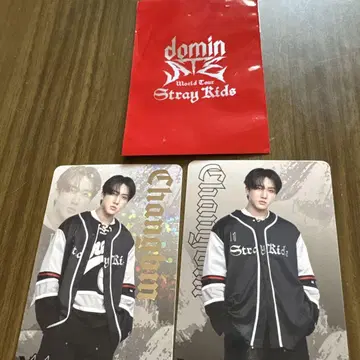 Stray Kids Changbin 포토 카드 2장 세트 레어