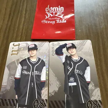 Stray Kids World Tour IN 포토 카드 08 레어