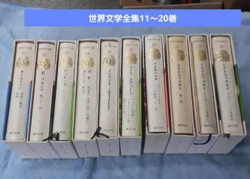 세계 문학 전집 11권~20권까지 10권 세트