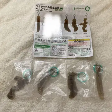 플라나리아의 재생 실험 메지루시 마스코트 4종 세트 가챠