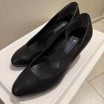 다이애나 펌프스
