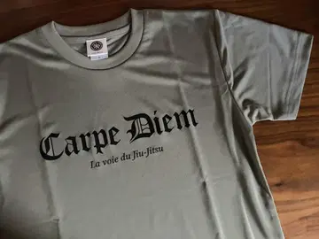 CARPE DIEM 카르페 디엠 주짓수 티셔츠 그레이 S 미사용 새상품