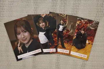 사쿠라자카46 오다쿠라 레이나 미나토구 파슬리