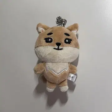 day6 KE 백 참