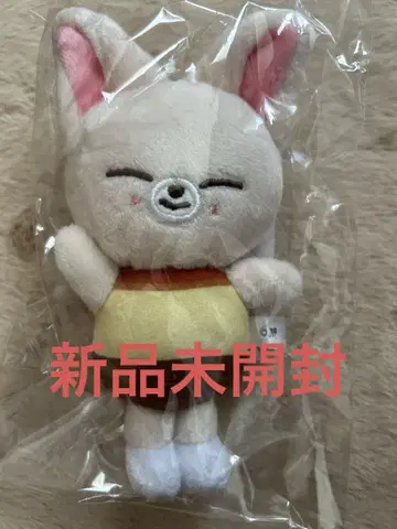 Stray Kids Foxl.Ny 아이엔 백 참