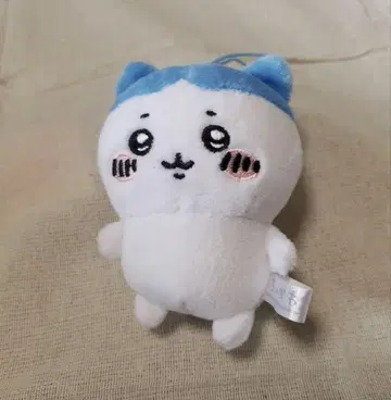 치이카와 봉제 인형 하치와레
