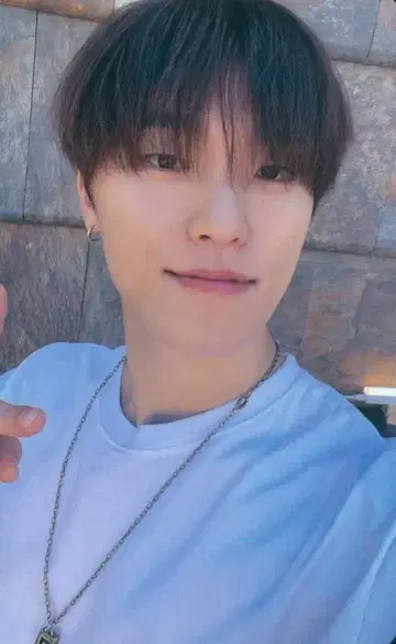 SEVENTEEN IN THE SOOP2 DINO 트레이딩 카드