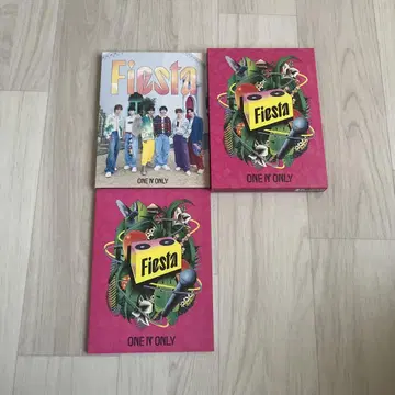 ONE N' ONLY 원엔 Fiesta 초회 DVD