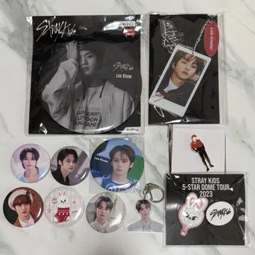 리노 Lee know 캔뱃지 묶음 판매 stray kids Lee 비트