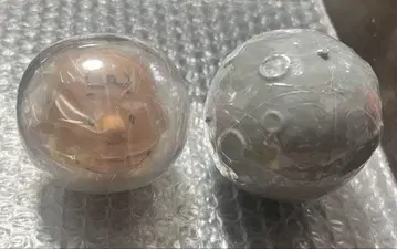 스누피 뮤지엄 한정판 가챠가챠 찰리 브라운과 우드스탁