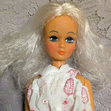 상세 불명 레트로 인형 인형