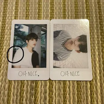 아즈나이스 에스크 트레이딩 카드