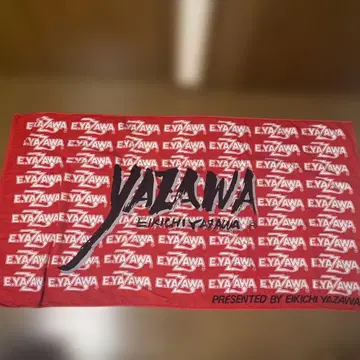 E.YAZAWA 야자와 에이요시 비치 타월