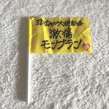 EBiDAN 대운동회 극심한 통증 몽블랑 스포츠맨 힙 Team Flag