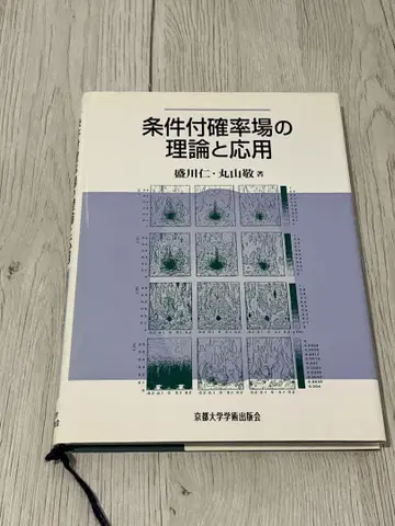 조건부 확률장의 이론과 응용