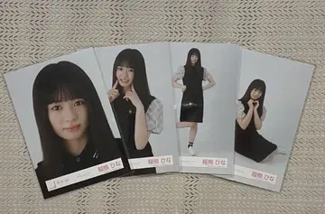 사쿠라자카46 이나쿠마 히나 피케 셔츠 코디