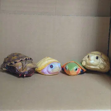 동물 혹성 거북이