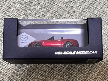 Roadstar 25주년 기념 미니카