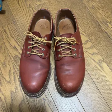 레드 윙 26.5