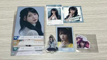 노이미 묶음 판매 스가나미 미레