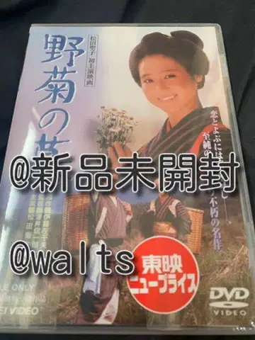 야생 국화의 무덤 [DVD