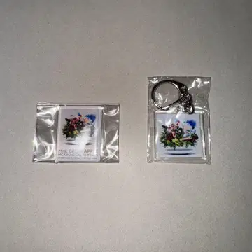 미세스 라라포트 팝업 가챠 마그넷 키링 세트