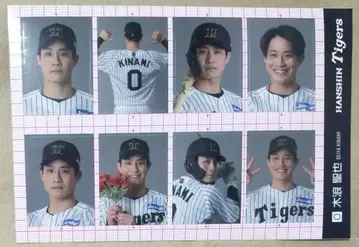 한신 타이거즈 시크릿 증명 사진풍 스티커 2025 기노미 세이야