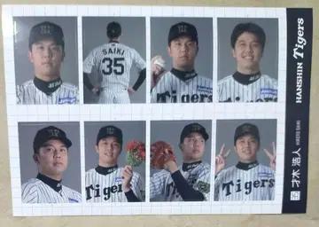 한신 타이거즈 시크릿 증명 사진풍 스티커 2025 사이키 히로토