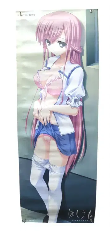 호시우타 점포 한정 혜택 등신대 포스터 미사용 새상품 후미오 뒷면 fmo