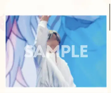 STPRexpo 복권 b상 A3 클리어 포스터 스니테 니시키