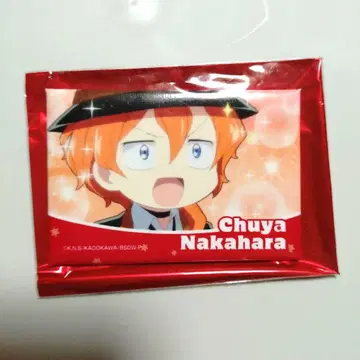 트레이딩 스퀘어 캔뱃지 문호 스트레이독스 나카야 캔뱃지 강아지