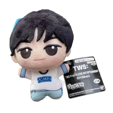 TWS From PLEDIS ENTERTAINMENT SD 인형 도훈