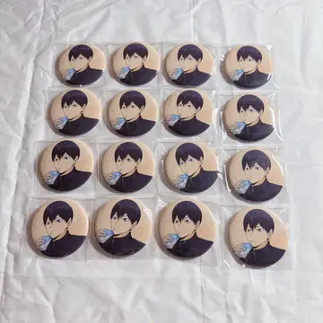 카게야마 토비오 캔뱃지 16개